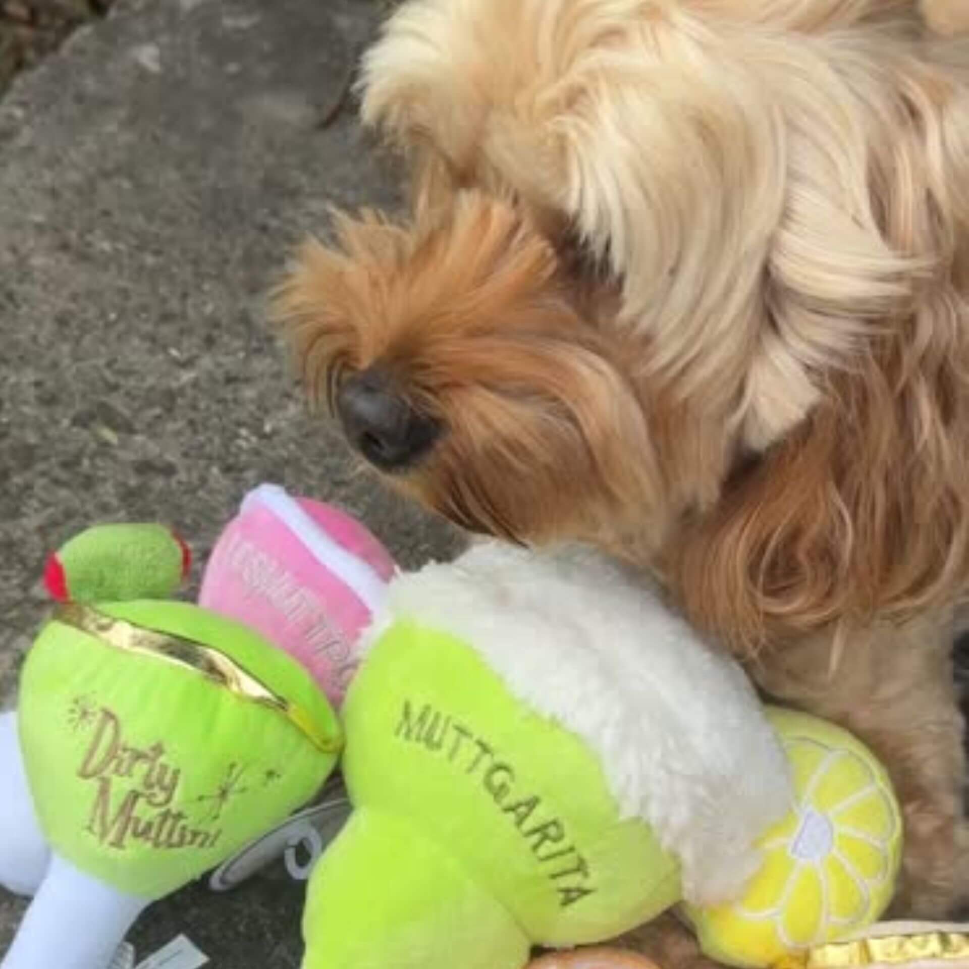 Luxury Cocktail Plush Dog Toy Set - Pawsh Muttini Bar Collection for Small & Medium Dogs | Perfect for Playtime, Training & Gifts | Fun Interactive Pet Toys for Parties & Special Occasions