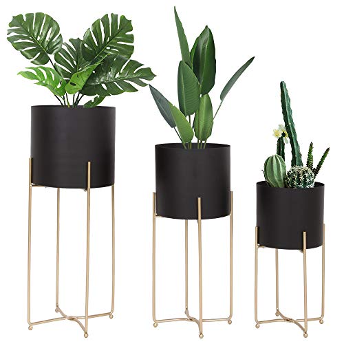 Black Pot Gold Stand