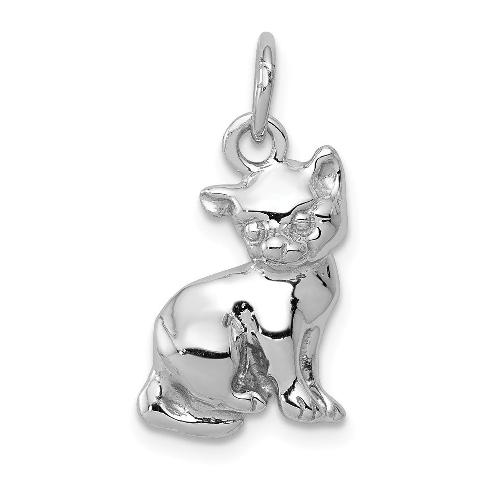 14k White Gold Cat Charm Pendant Necklace - Elegant 14kt White Gold Jewelry for Women - Perfect Gift for Cat Lovers, Birthday & Anniversary - Everyday Wear & Special Occasions