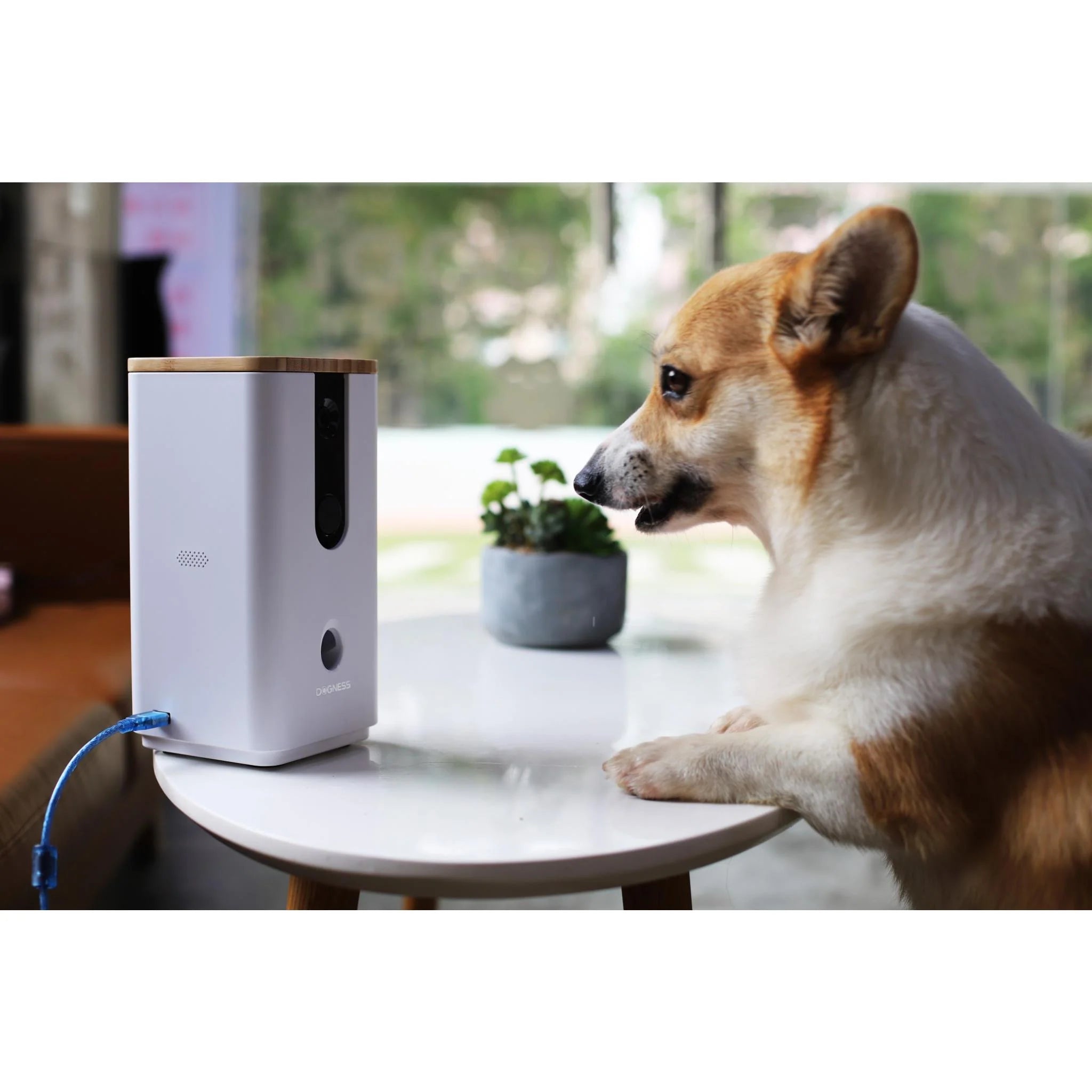 Dogness Smart Camera Pet Treat Dispenser with HD Video & 2-Way Audio - Interactive Remote Training & Play for Dogs & Cats - Perfect for Home Monitoring & Pet Entertainment