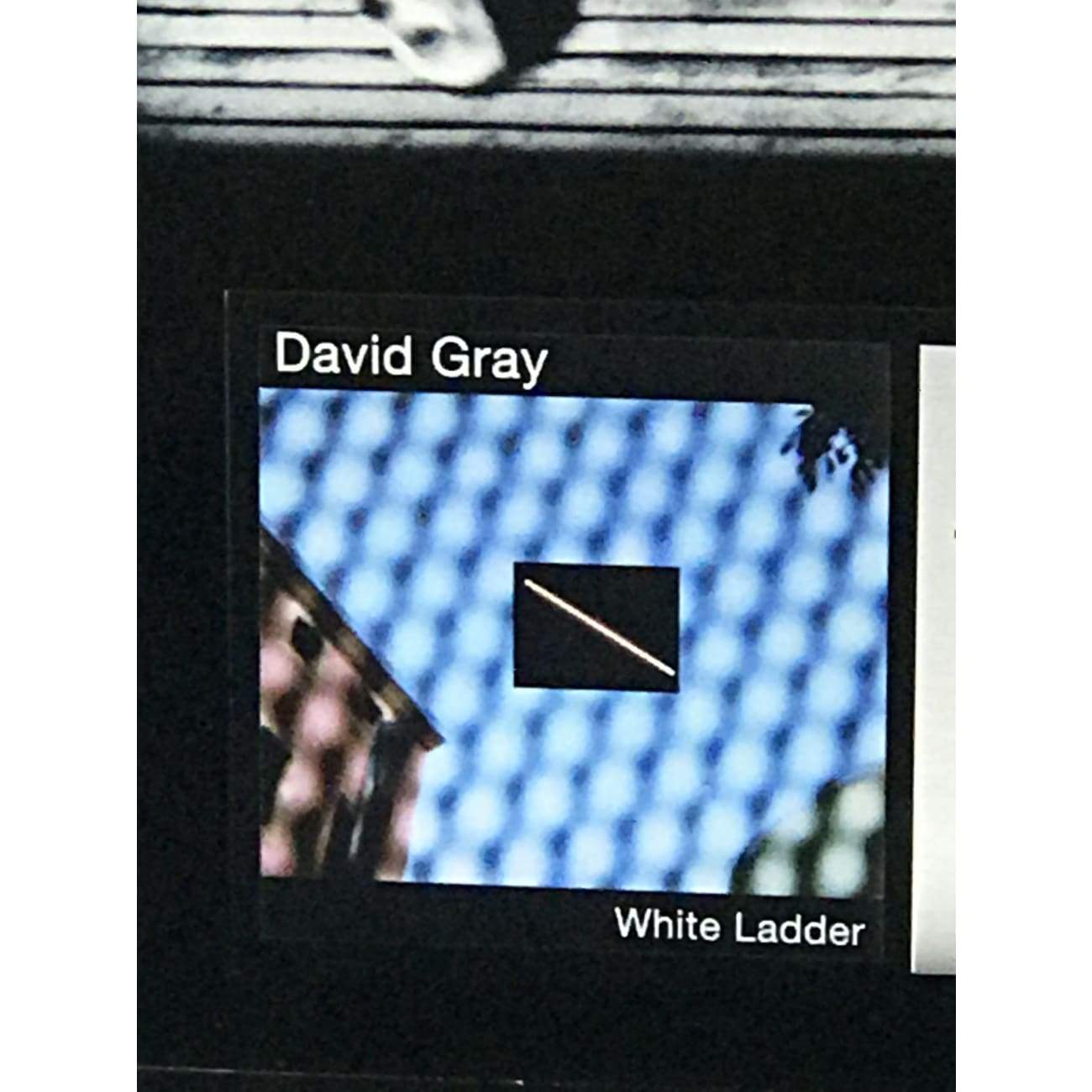 David Gray - White Ladder (RIAA Platinum Certified Award-Winning Album) | Perfect for Relaxation, Road Trips & Coffee Shop Ambience