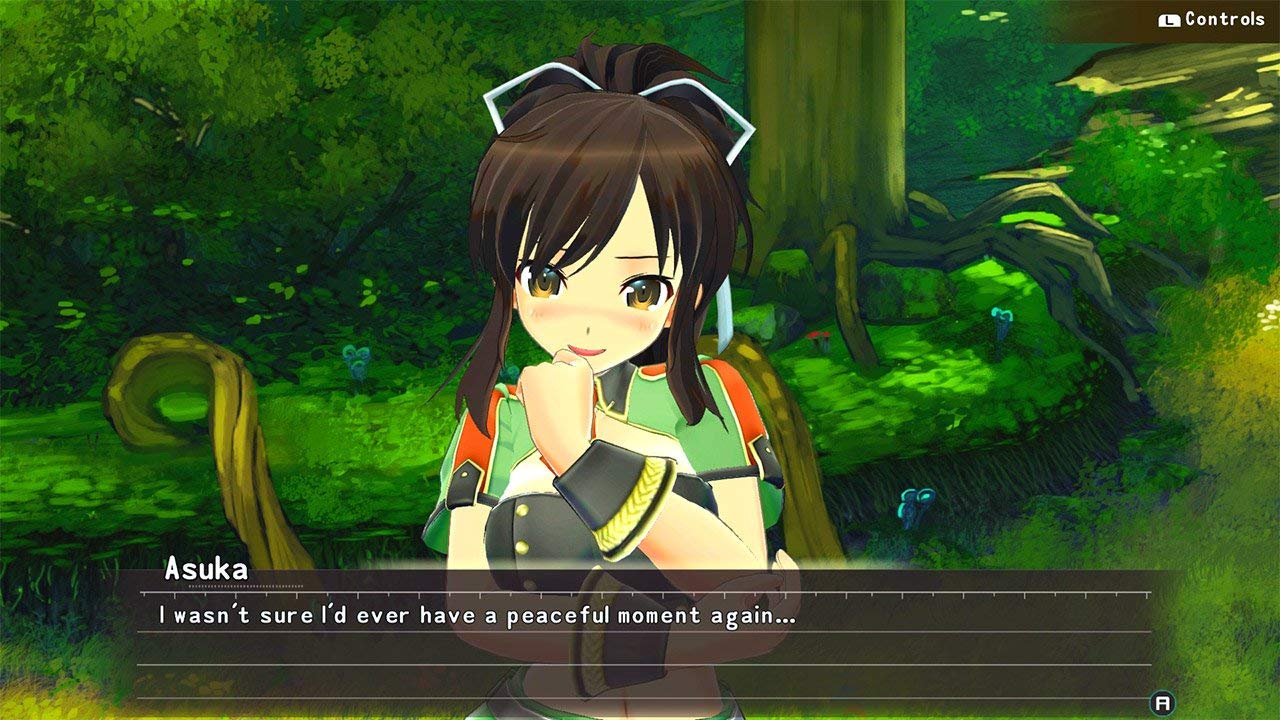 Senran Kagura Reflexions - Nintendo Switch Game | Anime Action Adventure for Teens & Adults | Perfect for Home & Travel Gaming
