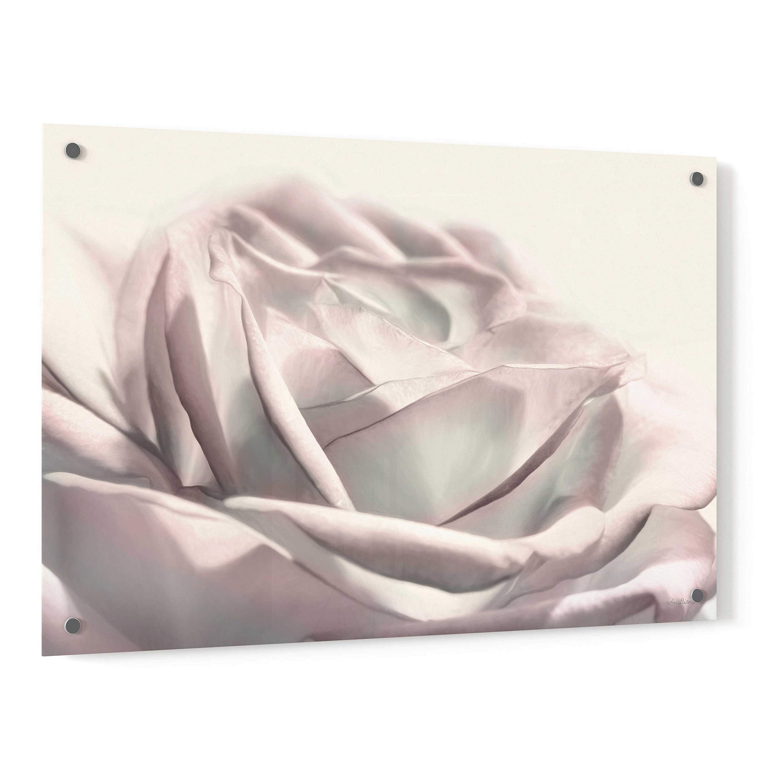Blush Rose II Acrylic Glass Wall Art by Lori Deiter - 36x24 Inches Modern Floral Painting for Living Room, Bedroom & Office Decor