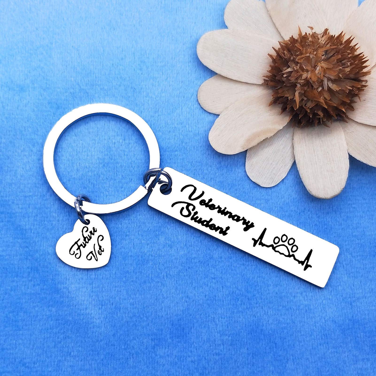 Veterinarian Appreciation Keychain - Vet Tech Gifts for Animal Rescue Workers, Veterinary Graduation Present - Perfect for Clinics, Hospitals & Pet Lovers