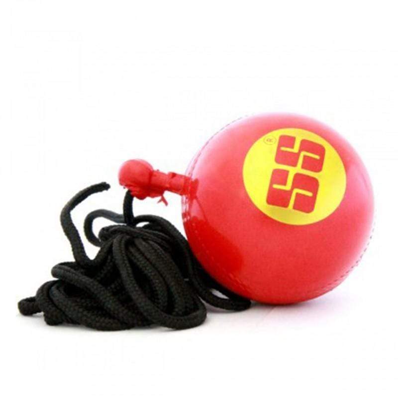 SS Cricket Practice Hanging Ball - Professional Cricket Training Equipment for Batting & Fielding Drills - Perfect for Backyard, Nets & Coaching Sessions