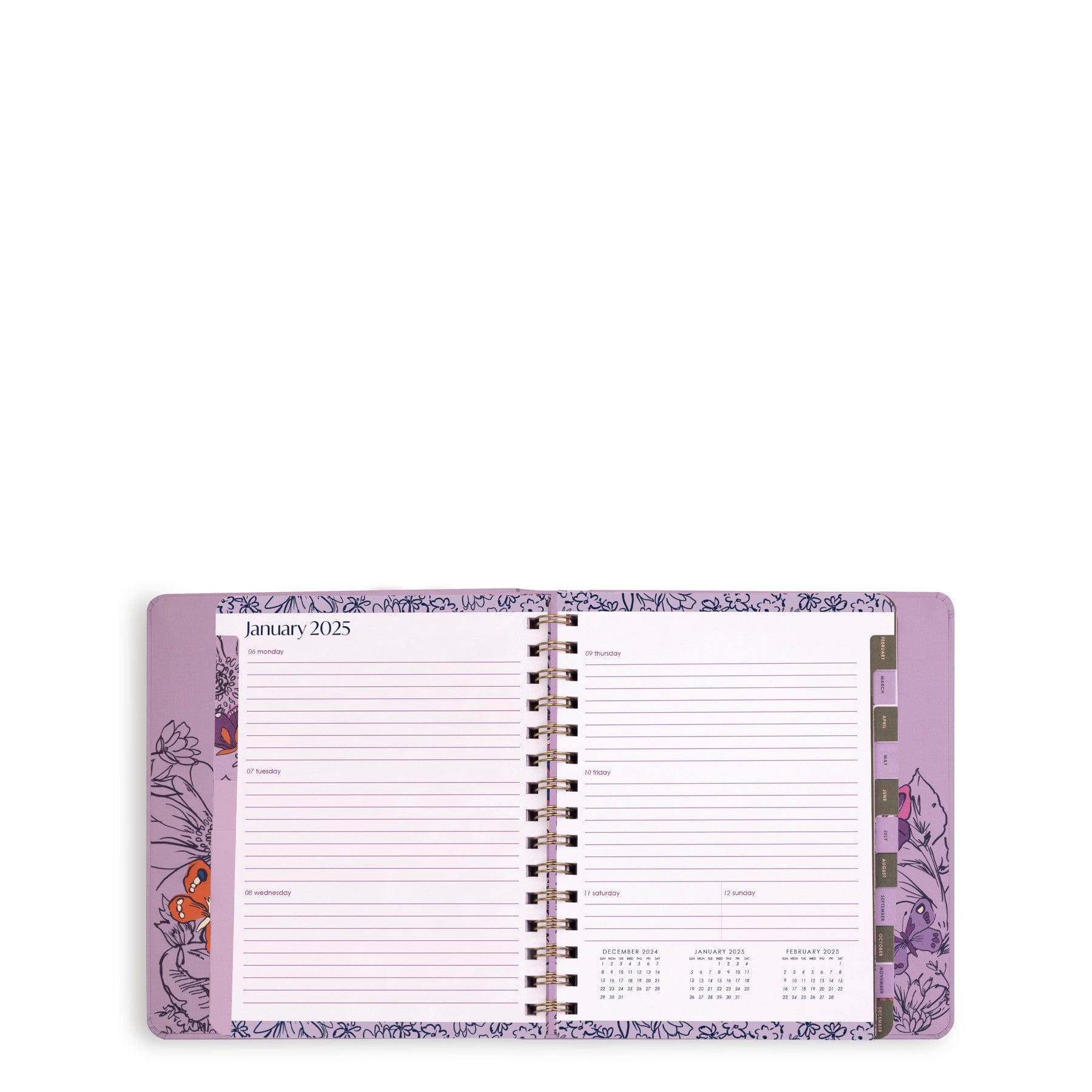 2025 12-Month Large Planner - Spiral Bound, 8.5