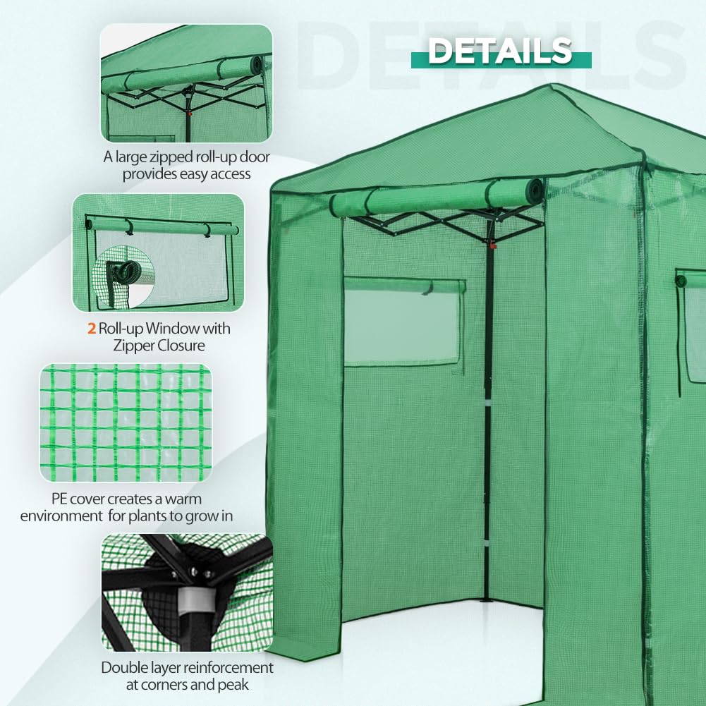 EAGLE PEAK 6x4 ft Portable Walk-in Greenhouse for Indoor & Outdoor Gardening - Pop-Up Plant Greenhouse with Zippered Door & Windows, PE Cover (Green) - Perfect for Seed Starting, Plant Protection & Year-Round Gardening
