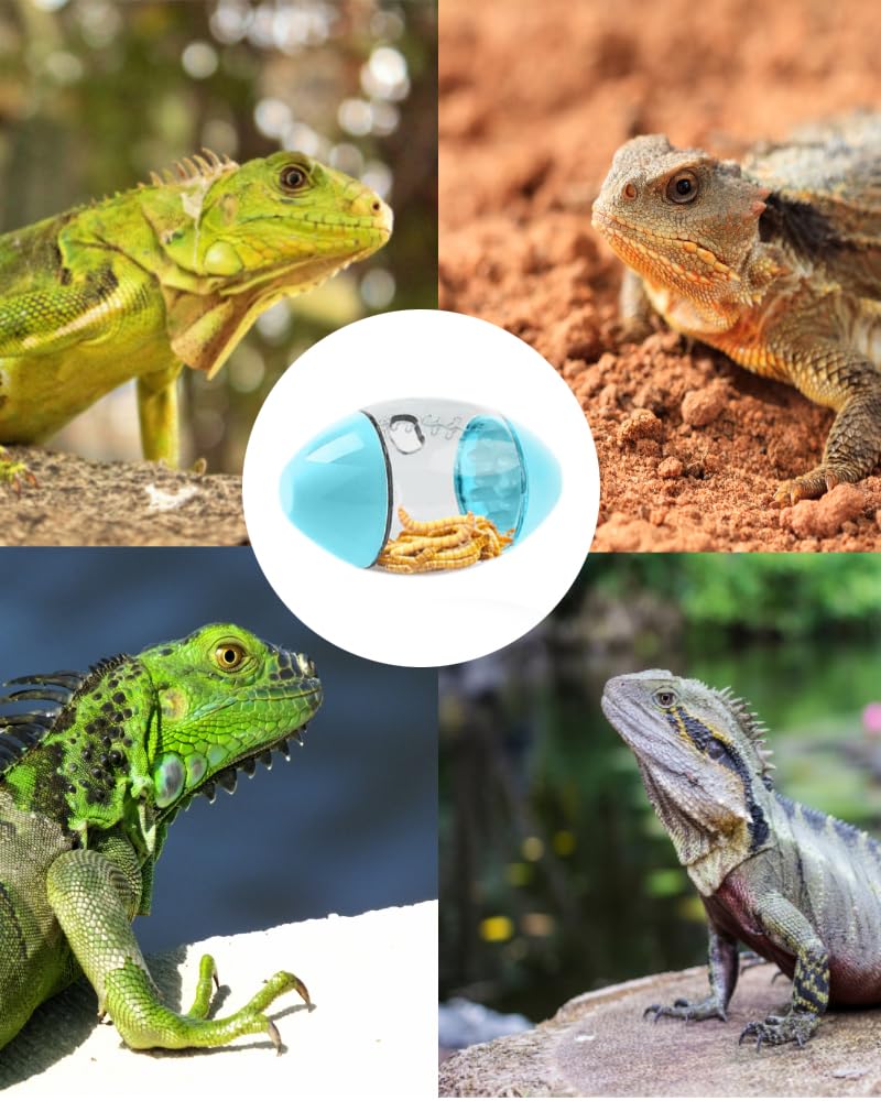Premium Lizard Feeder Toy Ball - Interactive Bearded Dragon Enrichment Toy for Reptiles, Geckos & Small Pets | Stimulating Foraging Activity, Exercise & Mental Engagement | Ideal for Terrariums, Habitats & Playtime