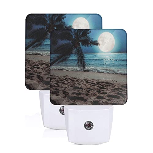 Full Moon Palm Beach