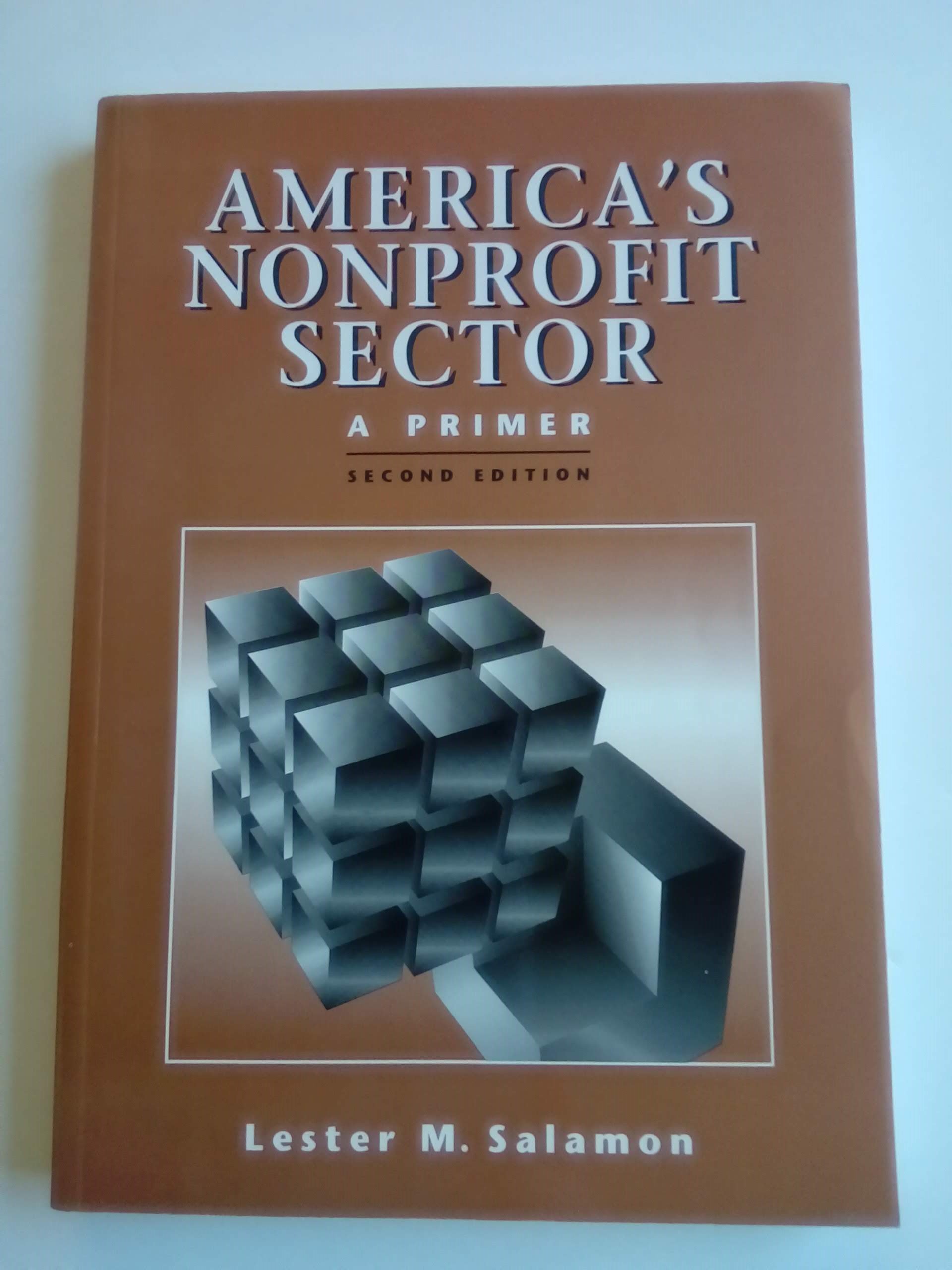America's Nonprofit Sector: A Comprehensive Guide | Understanding US Nonprofits for Donors, Volunteers & Social Entrepreneurs