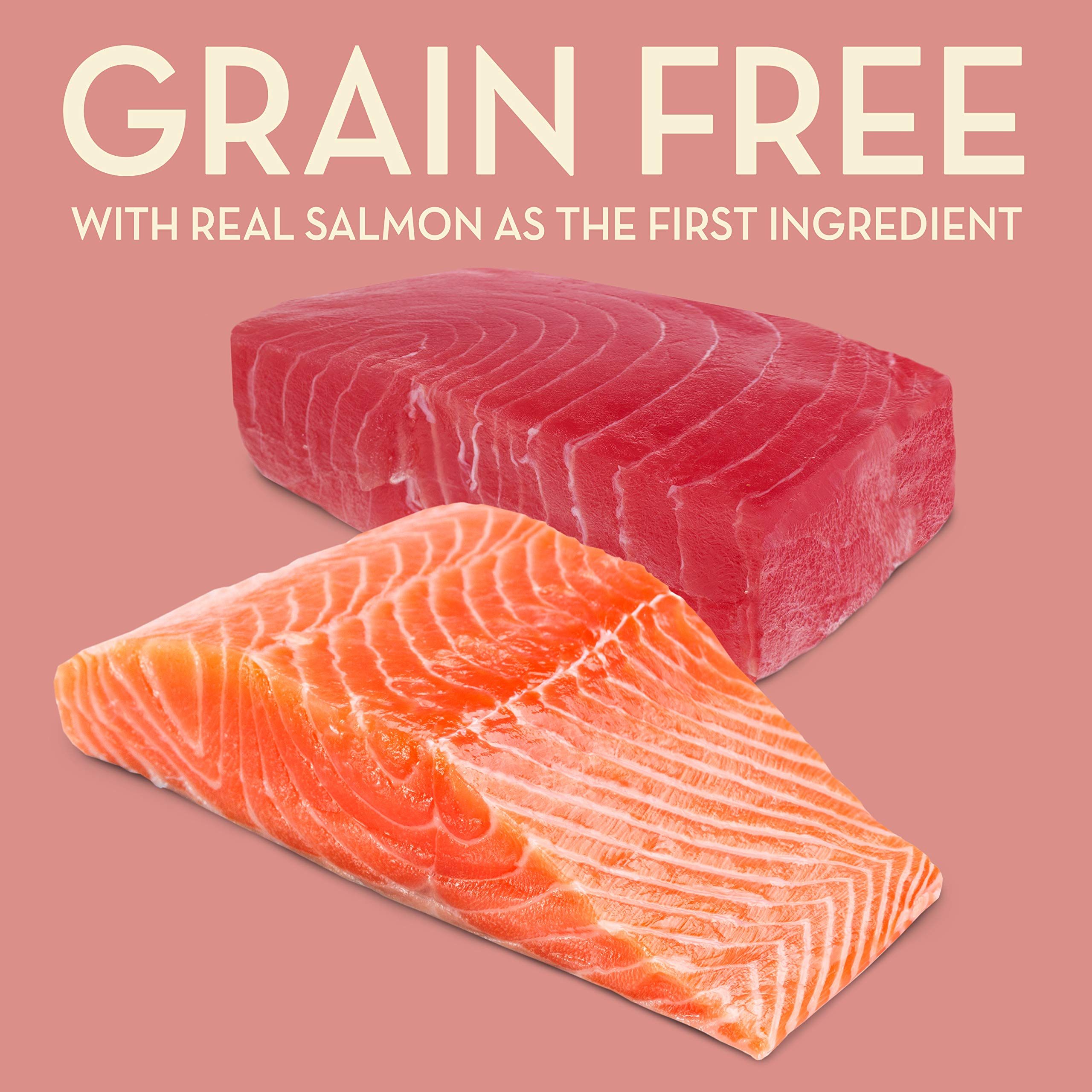 AvoDerm Natural Grain-Free Salmon & Tuna Dry Dog Food - 2.5lb Bag for Adult Dogs - High Protein & Omega-3 for Healthy Skin & Coat - Perfect for Sensitive Stomachs & Allergies