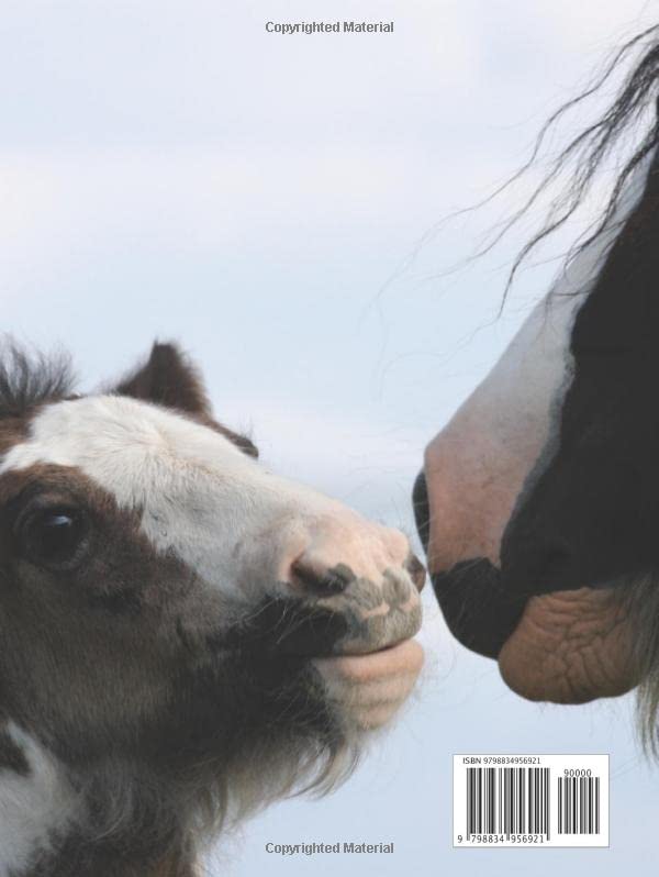 100 Beautiful Horse Images Hardcover Book - Majestic Animal Photography Coffee Table Decor & Housewarming Gift for Equestrian Lovers | Perfect for Living Room Display, Office Decor, and Animal Theme Parties