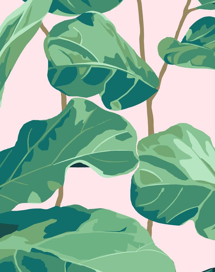 Nathan Turner Pink Fiddle Leaf Fig Wallpaper - Elegant Botanical Peel and Stick Wallpaper for Living Room, Bedroom, or Nursery Decor