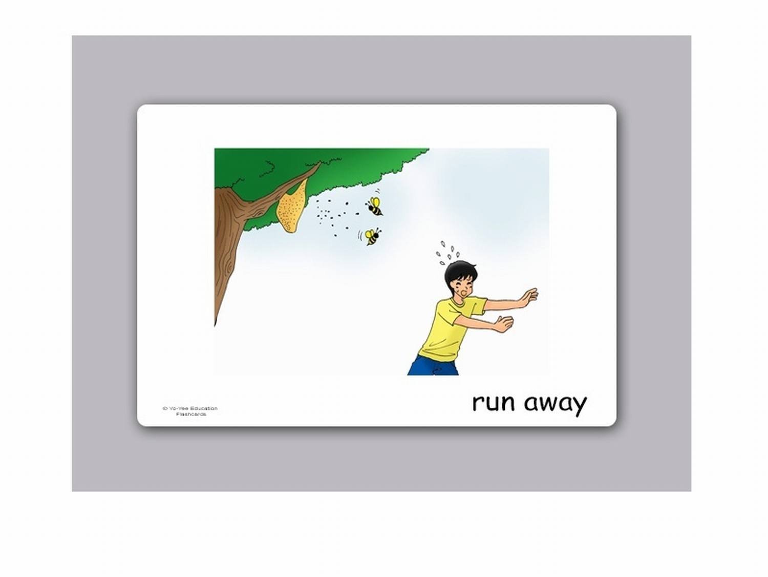 Phrasal Verbs Flash Cards Set 1 - English Vocabulary Learning Cards with Pictures for Kids, Toddlers & Adults - Perfect for ESL, Classroom & Homeschool Education