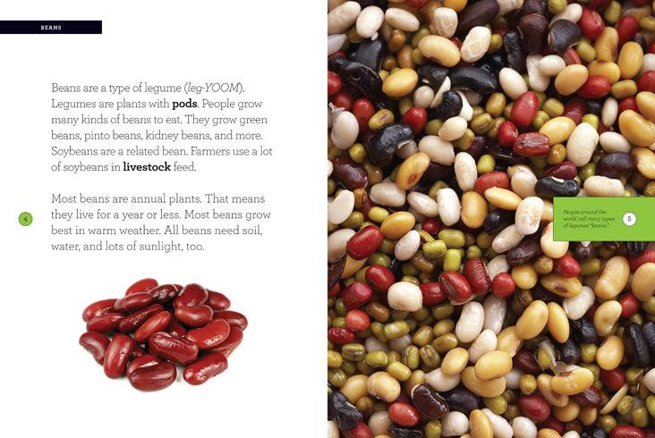 9781608185603 - Premium Dried Beans for Cooking | Bulk Beans for Soups, Stews & Healthy Recipes