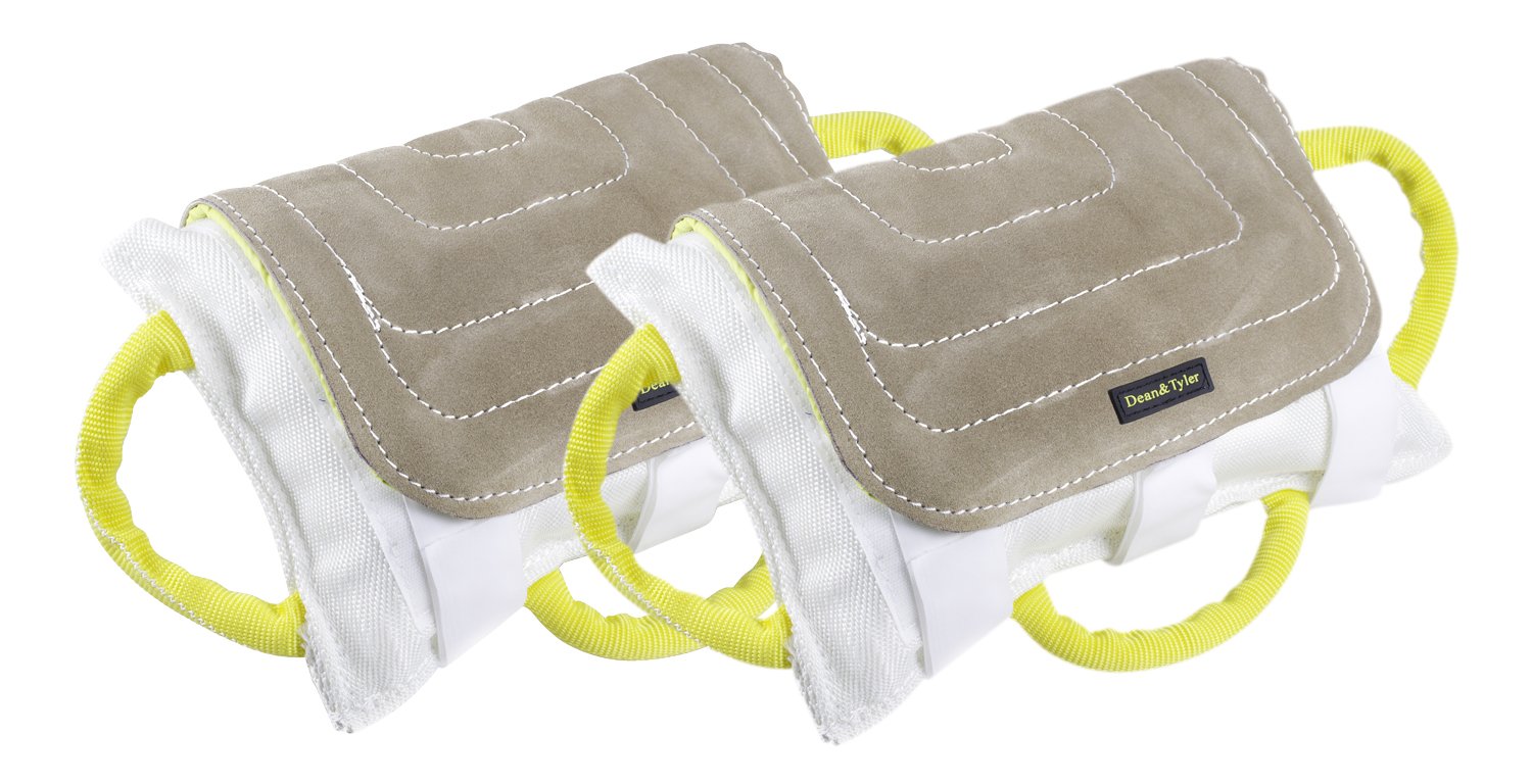 Dean & Tyler 2-Pack Leather Bite Pillows for Dogs - 13