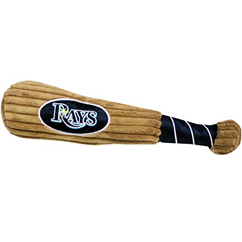 Tampa Bay Rays