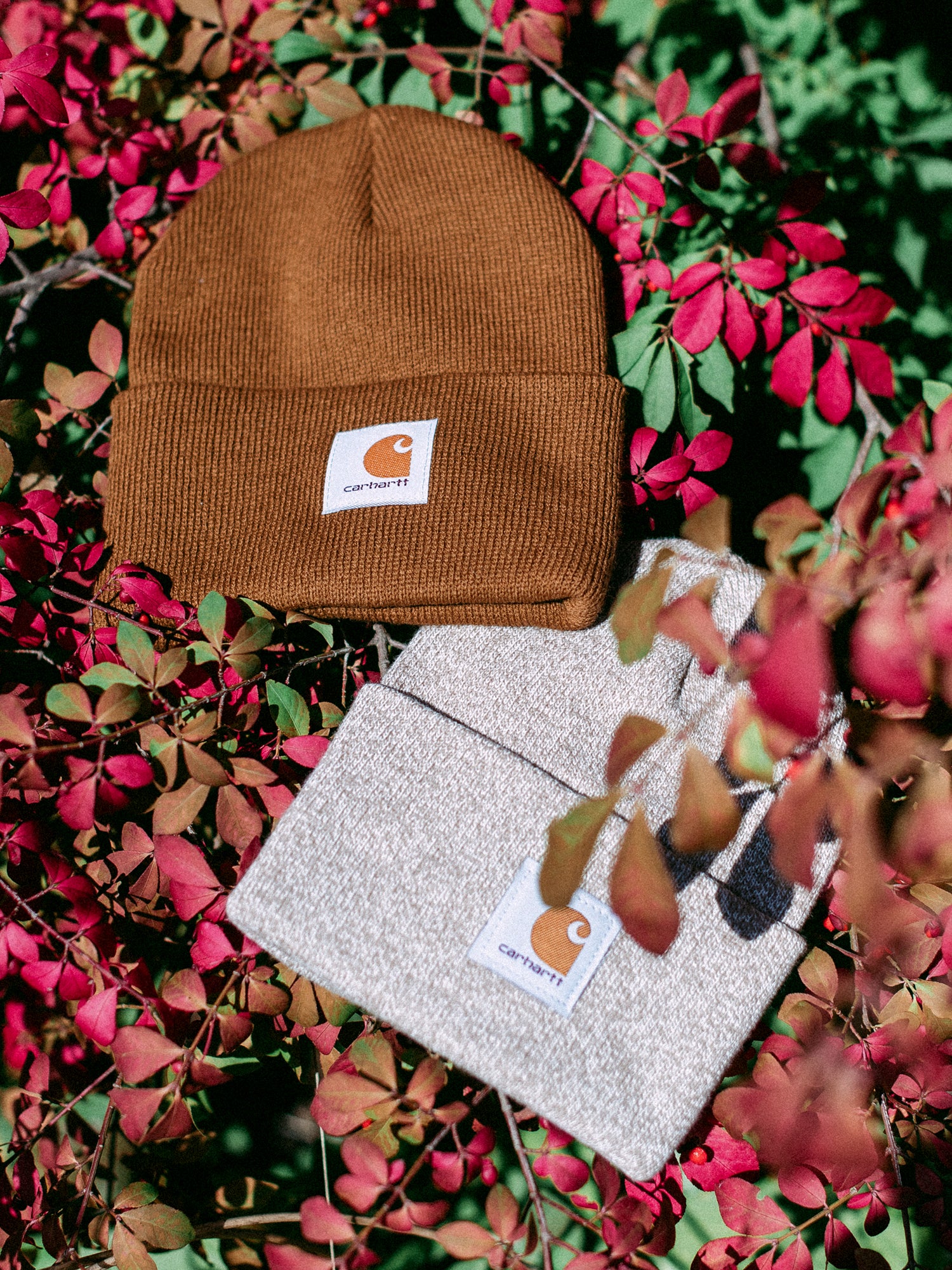 Carhartt Knit Cuffed Beanie for Men & Women - Warm Winter Hat for Outdoor Activities, Work, and Casual Wear