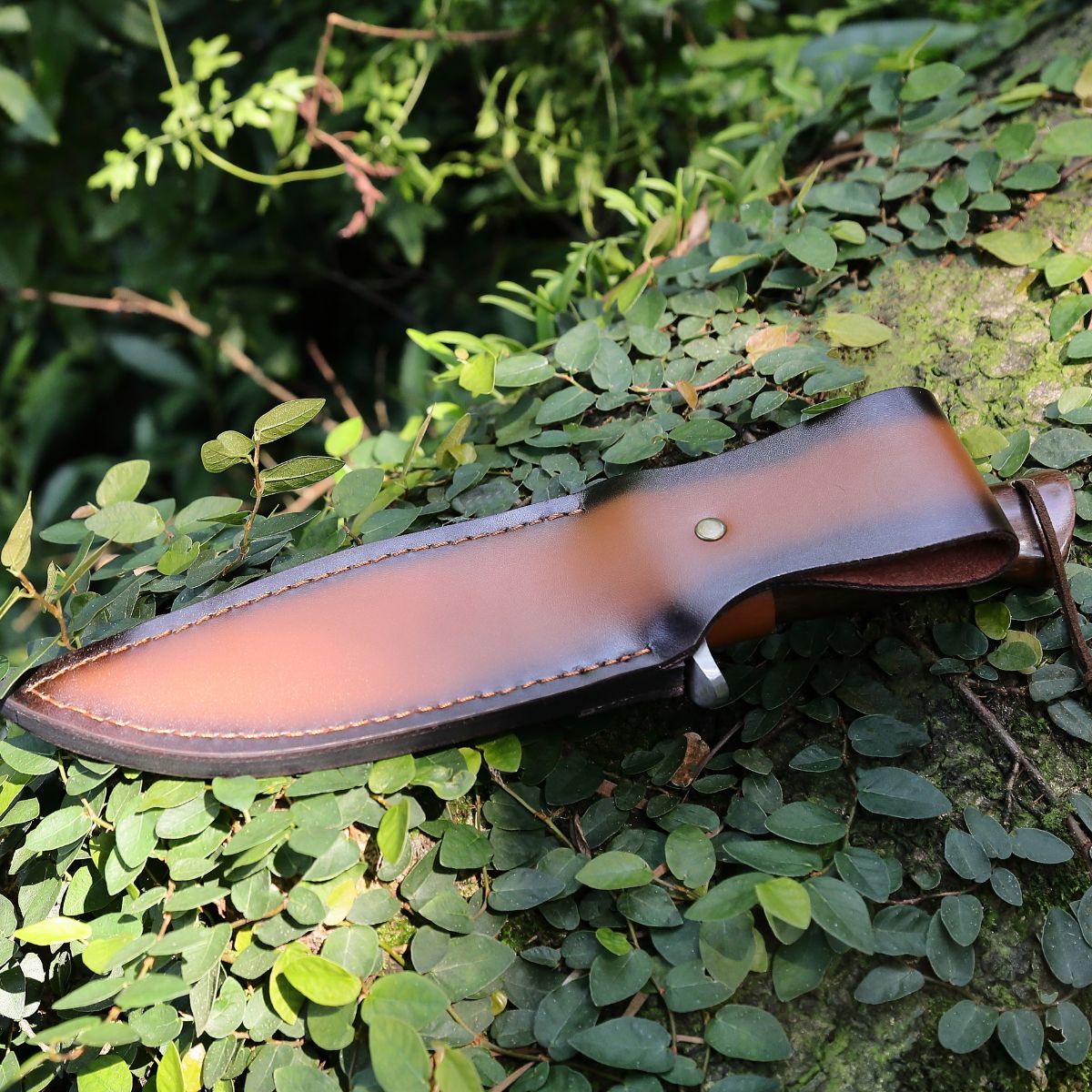 Premium Japanese Hunting Knife - VG-10 Damascus Steel Blade & Walnut Wood Handle - Outdoor Survival, Camping, Bushcraft, and Kitchen Use