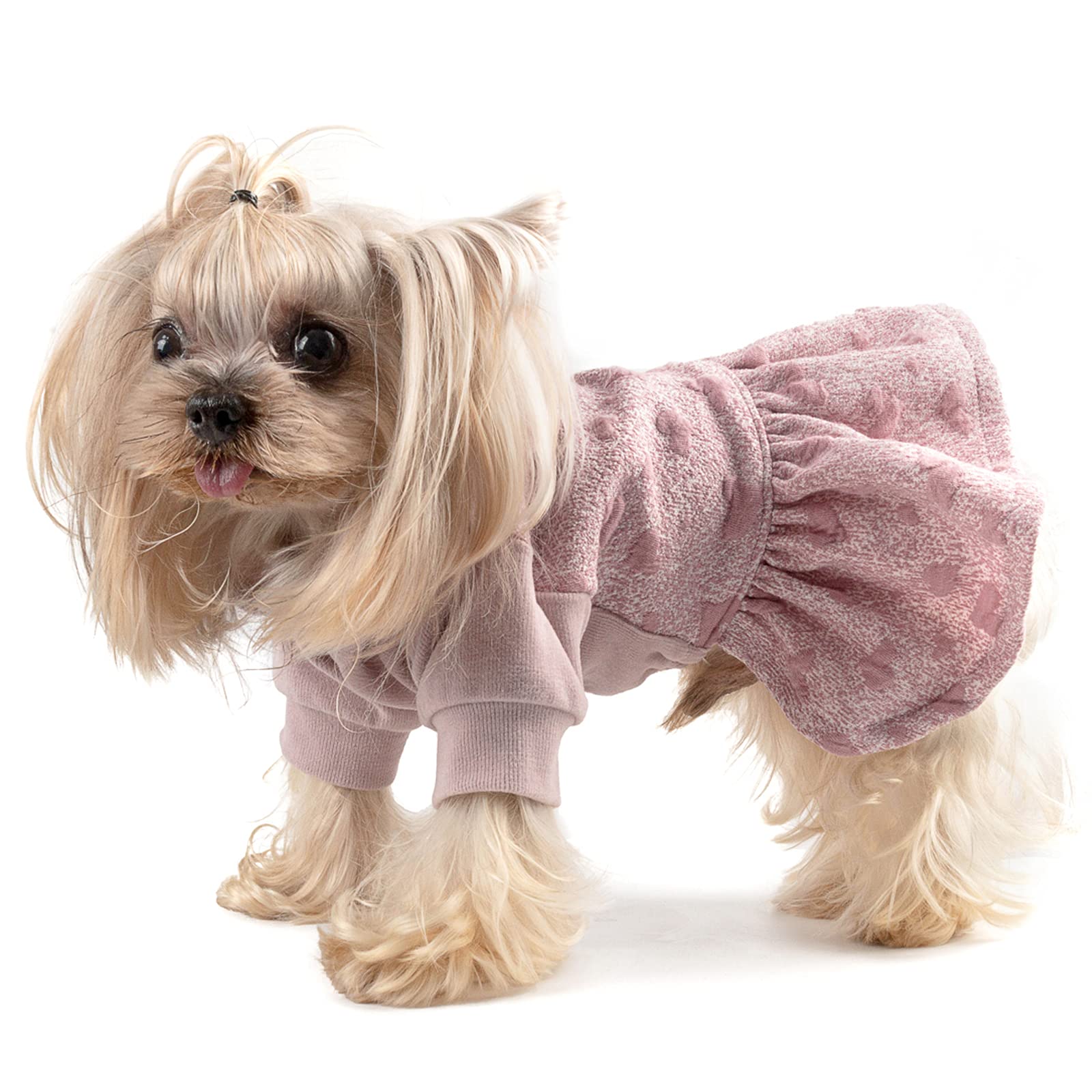 CuteBone Dog Dress Puppy Skirt Cat Outfit - Pet Clothes for Small Dogs & Cats - Girl Costume Birthday Gift - Perfect for Parties, Holidays & Photo Shoots
