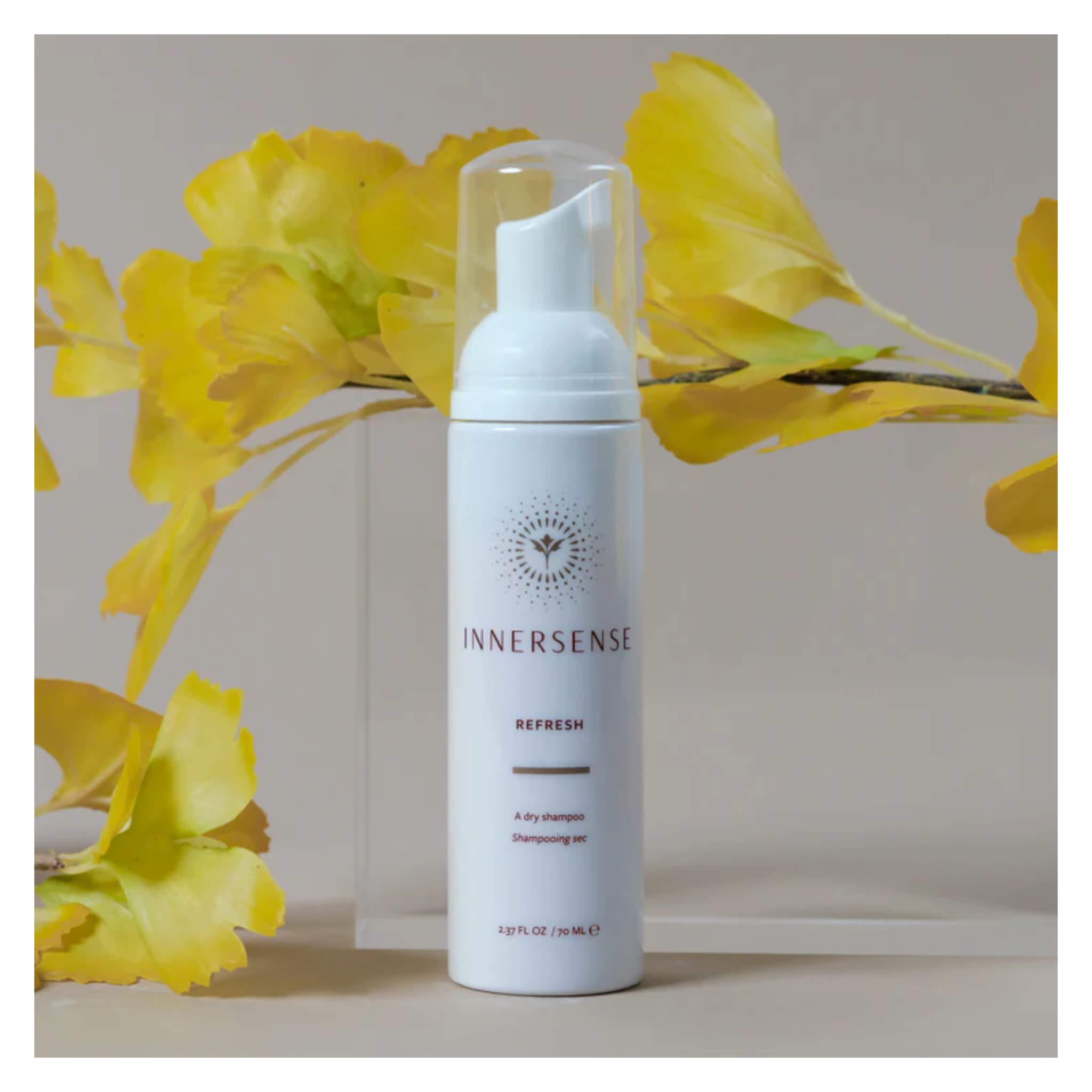 Refresh Dry Shampoo for Oily Hair - Volumizing & Oil Absorbing Powder Spray - Perfect for Travel, Gym & On-The-Go Hair Care