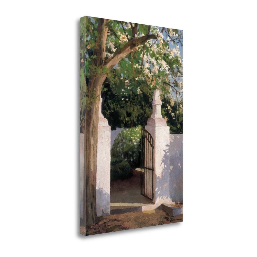 Acacia By Poch Romeu - Premium Fine Art Giclee Print on Gallery Wrapped Canvas - Ready to Hang Wall Art for Living Room, Bedroom & Office Decor