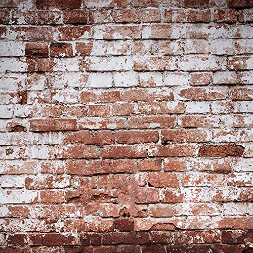 8x8ft Brick Wall Backdrop for Photography - Studio Props & Cotton Cloth Background for Portraits