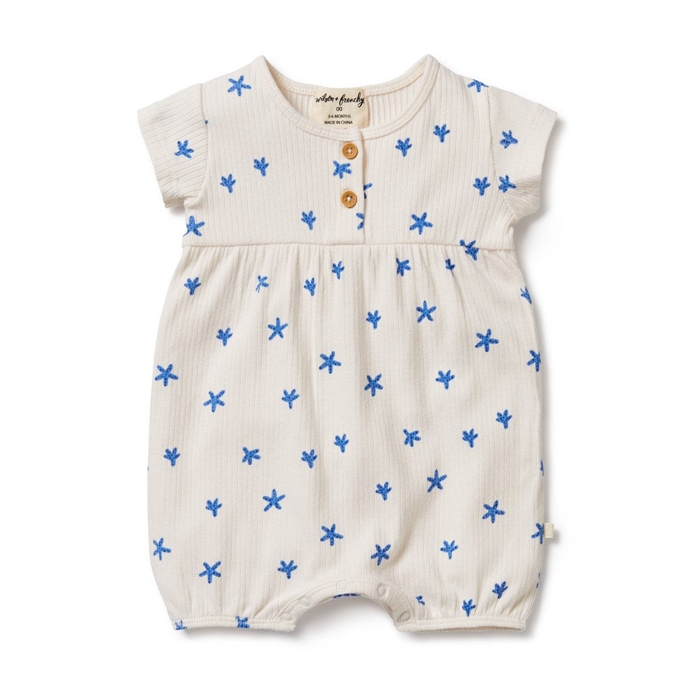 Little Starfish