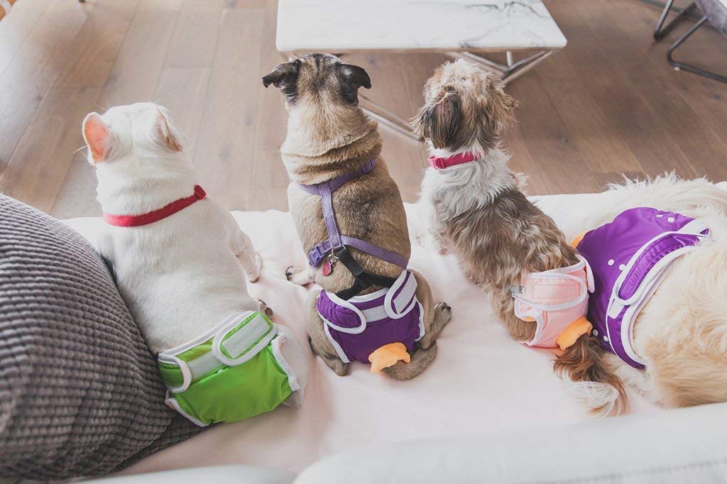 Washable Female Dog Diapers - Premium Reusable & Absorbent Pet Panties for Medium Dogs | Perfect for Incontinence, Heat Cycles & Travel (Medium, Purple)