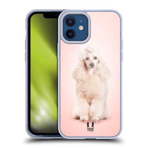 Portrait Of Poodle Dog