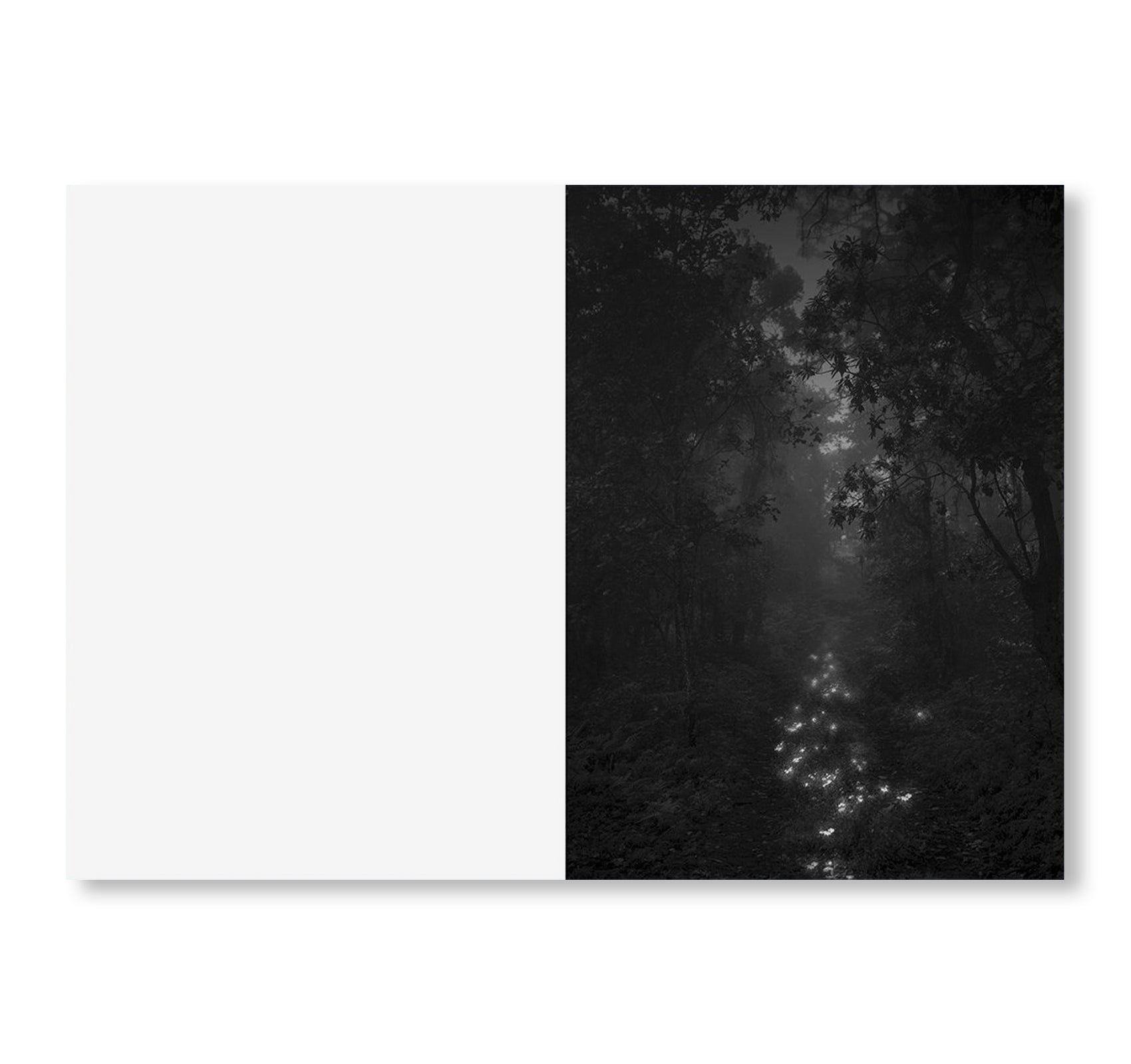 ONE PICTURE BOOK TWO #36: TAKEN BY THE TIDE by Maria Lax - Photography Art Book for Collectors, Perfect for Home Decor & Creative Inspiration