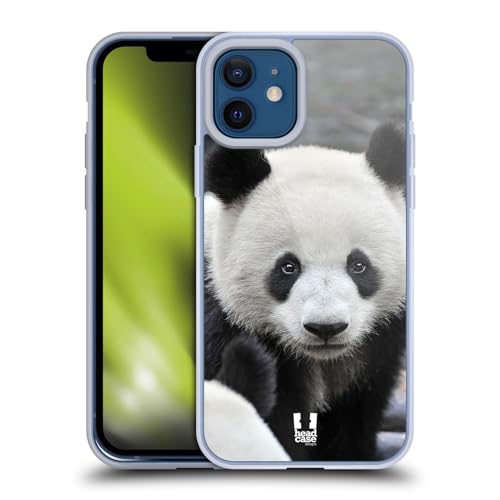 Close-Up Panda