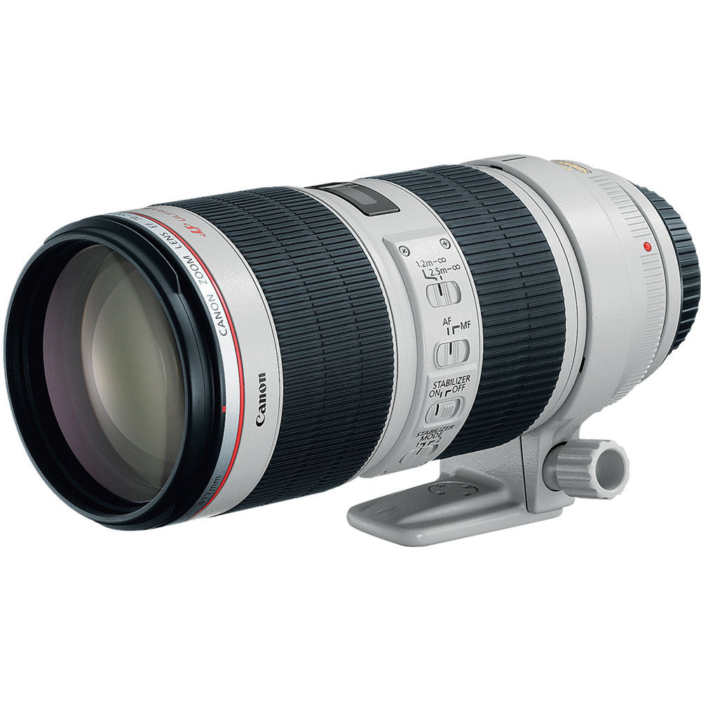 Canon EF 70-200mm f/2.8L IS II USM Telephoto Zoom Lens for Professional Photography, Sports & Wildlife - DSLR Camera Compatible with Full Frame & Crop Sensors