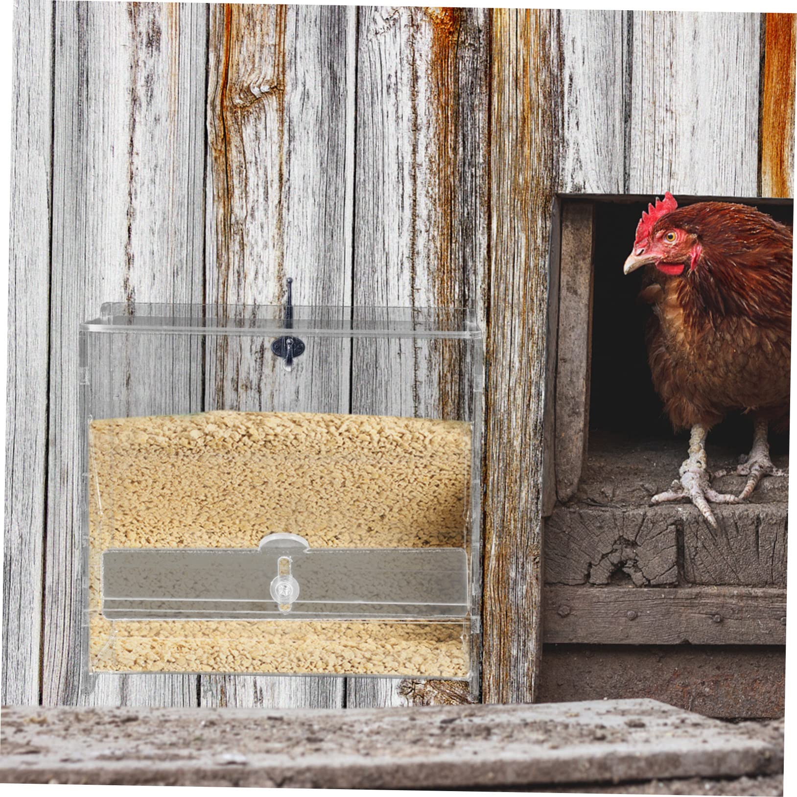 Automatic Chicken Feeder & Hanging Bird Feeder for Parrots - Durable Bird Cage Accessories, Food Storage Container for Birds - Perfect for Aviaries, Pet Cages & Outdoor Bird Feeding Stations