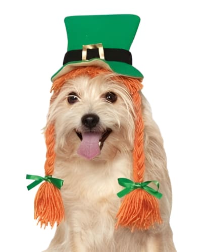 St. Patrick's Day Dog Hat with Braids - Fun Irish Costume Accessory for Pets - Perfect for Parties & Photo Shoots