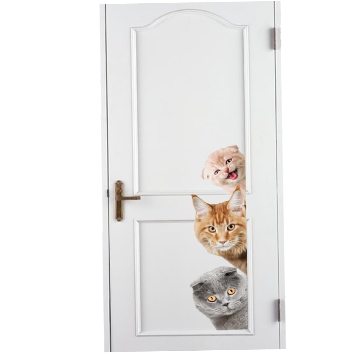 3D Animal Wall Decals - Removable Cat Stickers for Home & Office Decor - Simulative Animal Art Stickers for Kids Room, Nursery, Living Room Wall Decoration