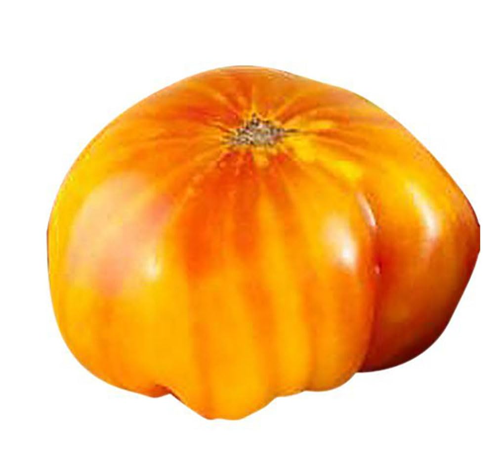 Hillbilly Potato Leaf Heirloom Tomato Seeds - Large, Delicious, Non-GMO Tomato Seeds for Home Garden - Perfect for Fresh Salads, Sauces, and Organic Gardening