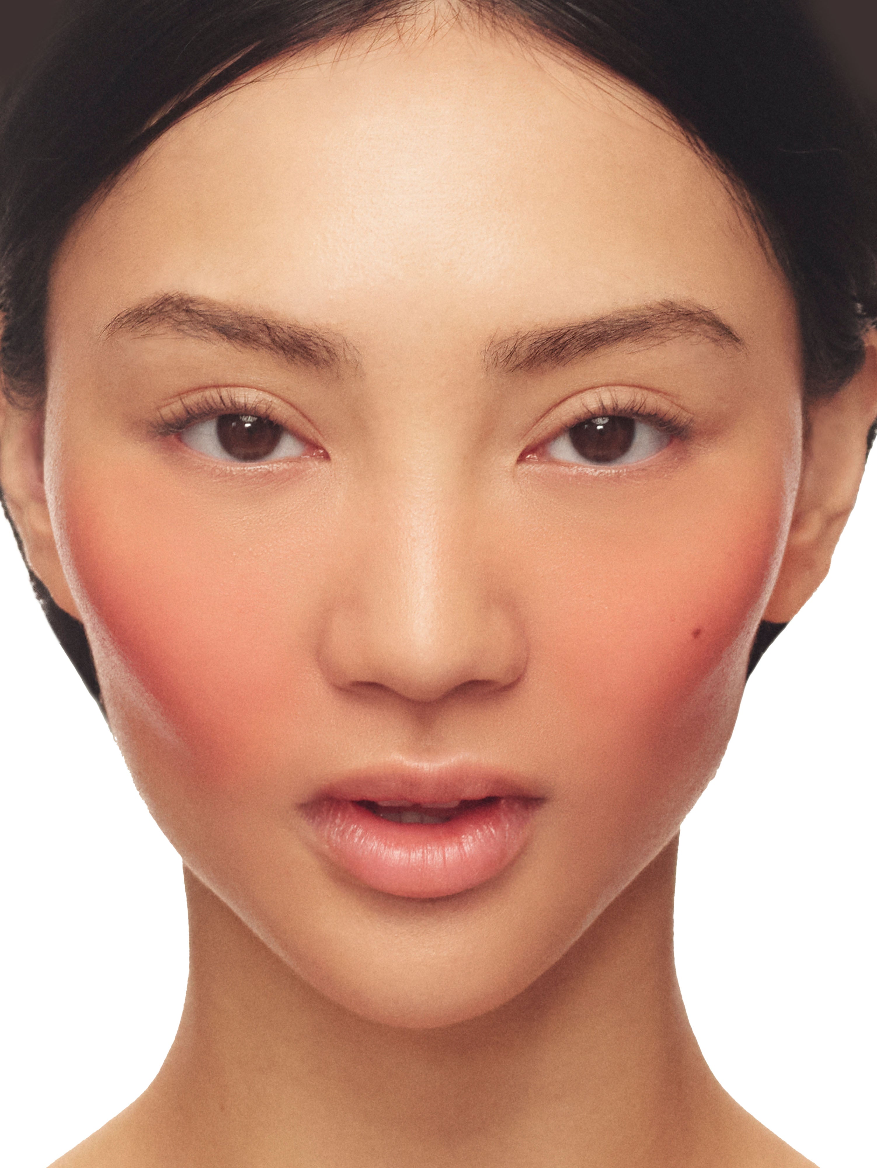 Natural Blush On Makeup Set - Flattering Cheek Color Palette for Daily & Party Wear | Cruelty-Free & Long-Lasting