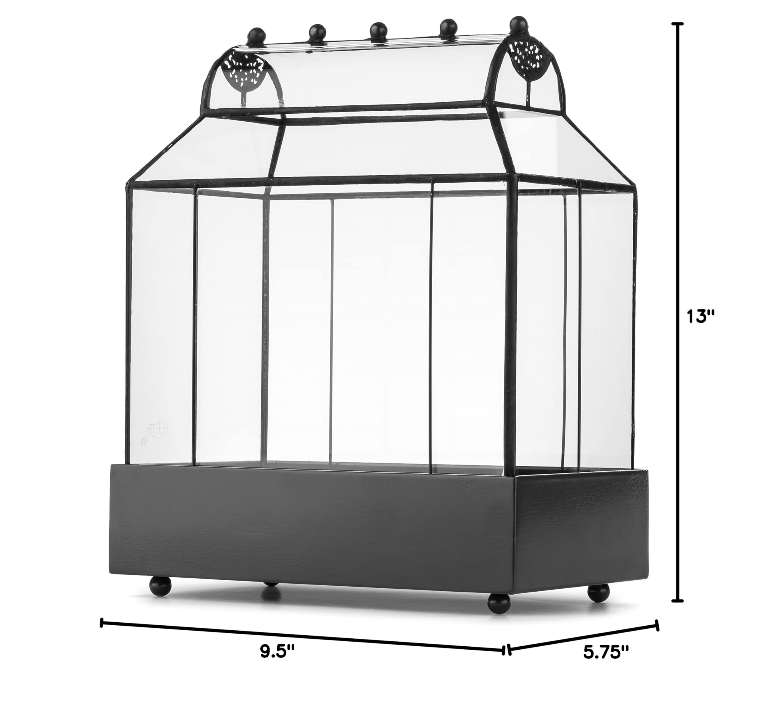 H Potter Glass Terrarium Wardian Case Planter - Indoor Plant Display for Home, Office & Garden Decor