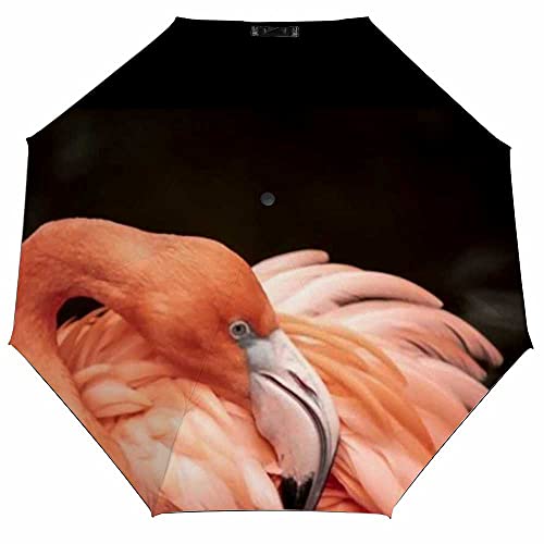 Flamingo Neck Twisting Wing Feathers