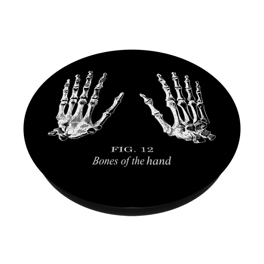 Human Hand Bones Anatomy Model - Medical Skeleton Hand for Students, Doctors & Science Education - Perfect for Classroom, Lab & Study Use