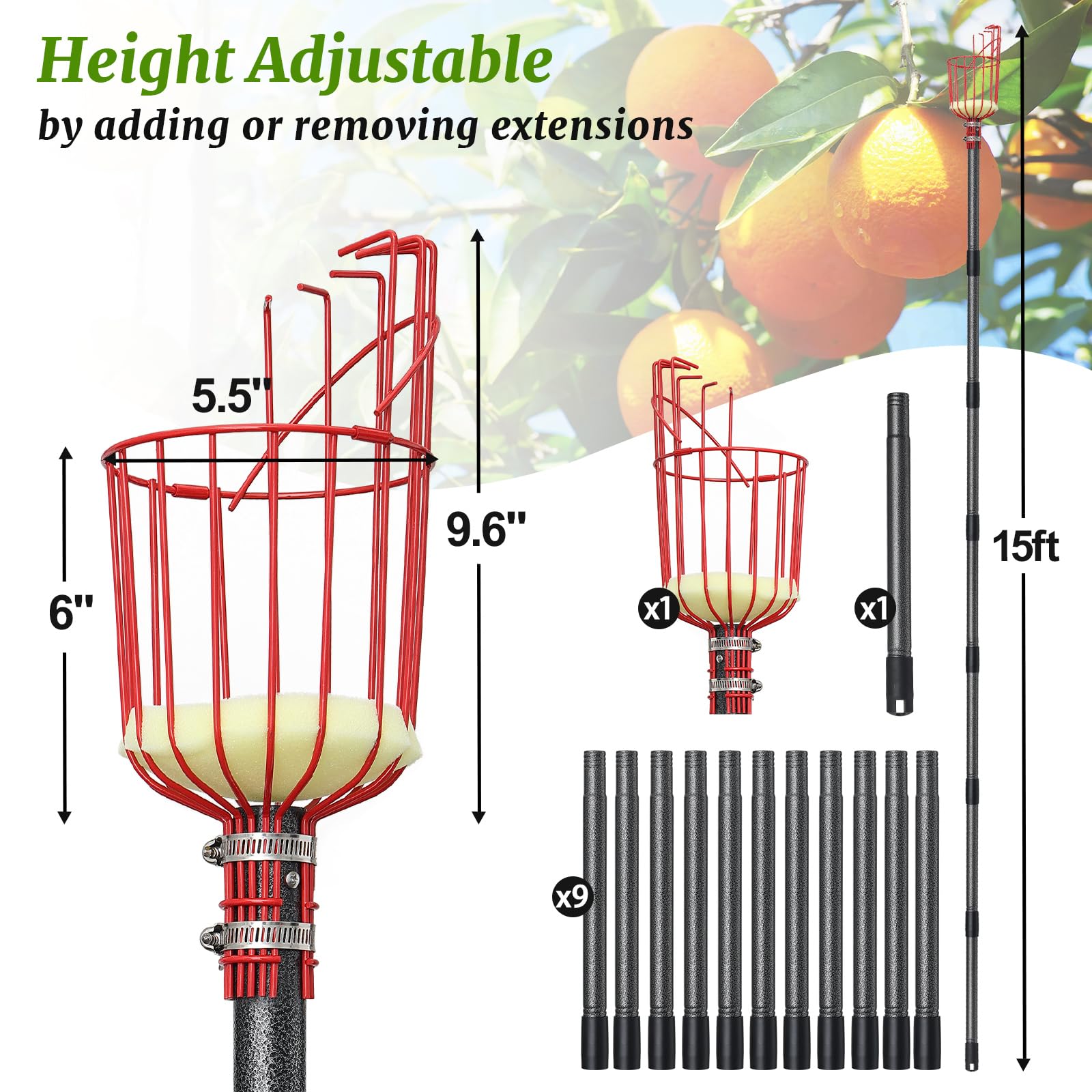 Premium 15FT Coconut Picker Tool with Basket - Easy to Assemble Fruit Harvester for Coconut, Mango & Avocado | Perfect for Home Garden, Farm & Orchard Harvesting