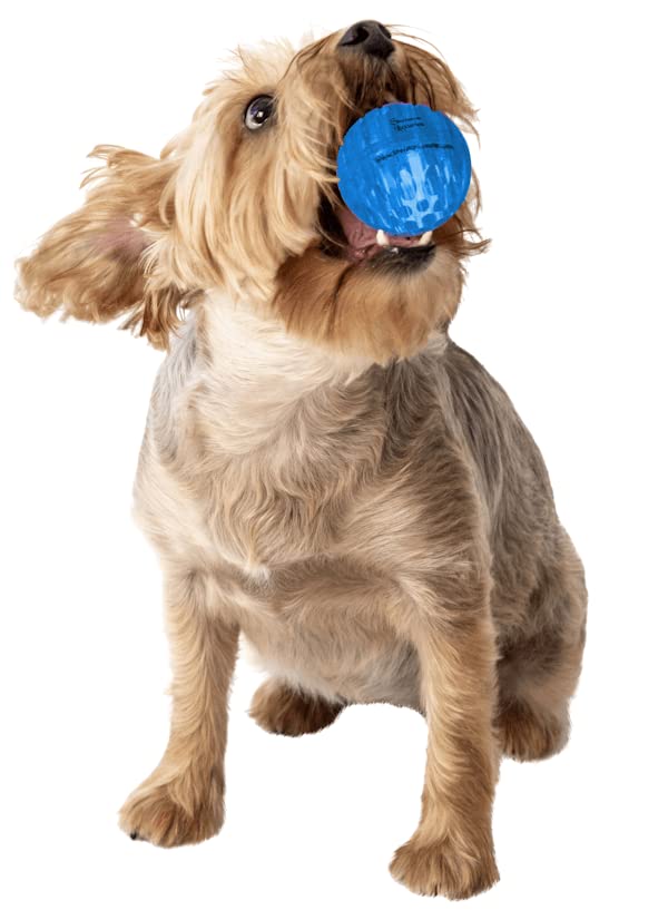 Durable Non-Toxic Rubber Dog Toys - 2.5