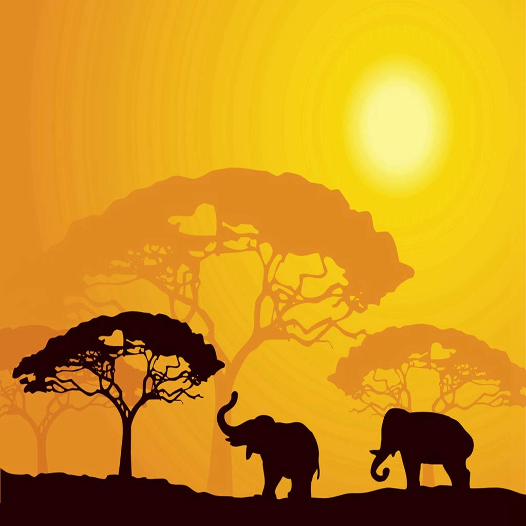 5D Diamond Painting Kit - Wildlife Safari Elephants & Sun Beams Canvas Art (16x16 Inch, Earth Yellow) | Full Drill Rhinestone Embroidery Craft for Home Decor & DIY Gift | Stress Relief Activity for Adults & Kids