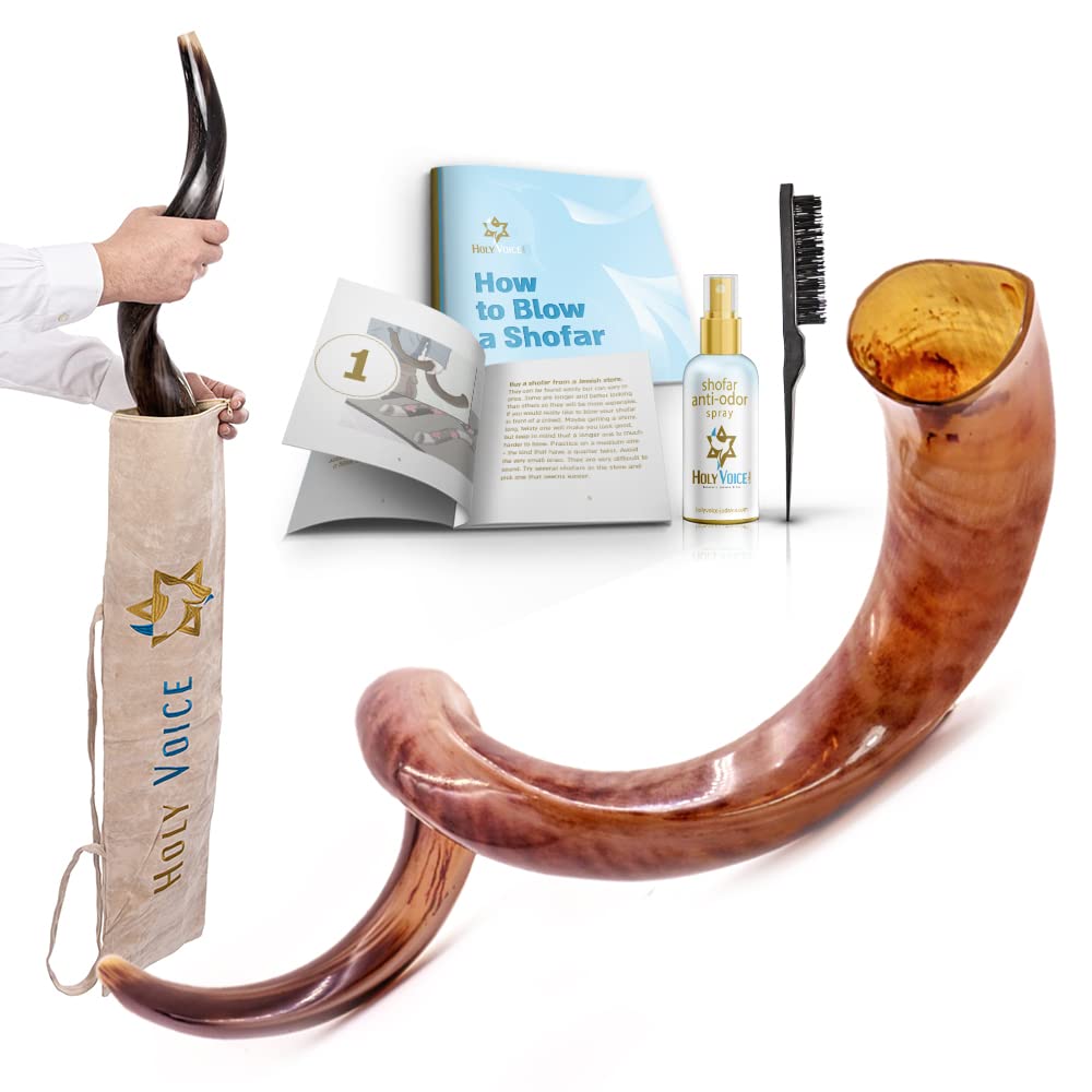 Handcrafted Kosher Kudu Shofar from Israel - 20