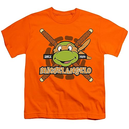 Michelangelo Since 1984