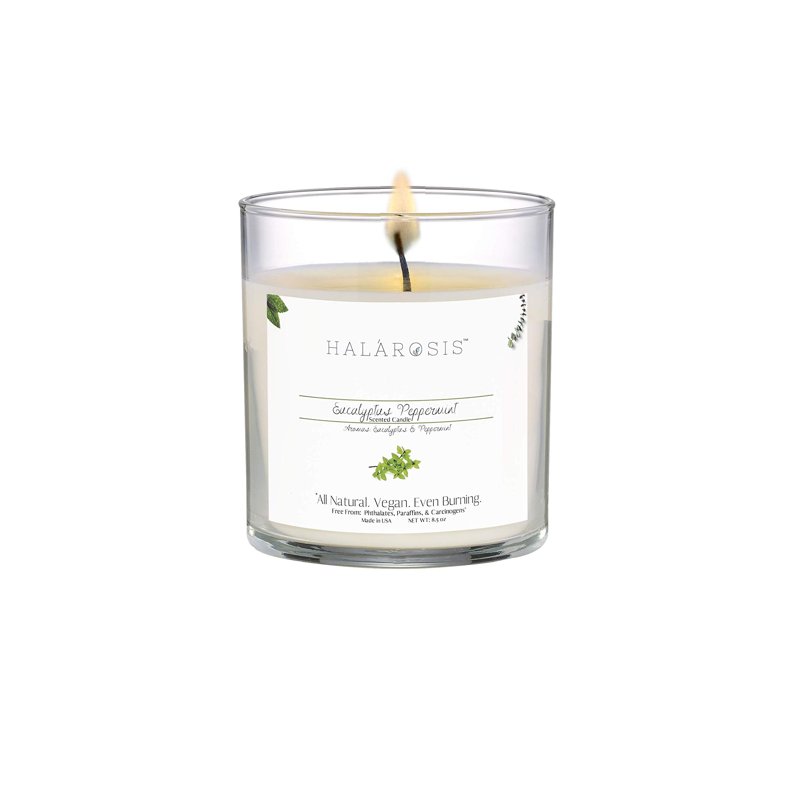 Halarosis Natural Soy Candles - Long-Lasting Peppermint Scented Candle (8.5oz) - 45 Hour Burn Time - Cotton Wick for Clean Burning - Perfect for Home, Office, Meditation & Gift Giving (Birthday, Anniversary, Housewarming)