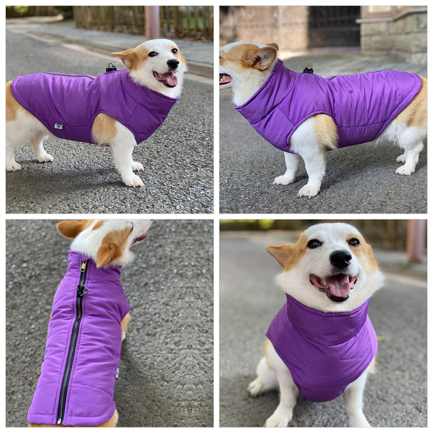 Waterproof Ultra Warm Dog Winter Vest with Cotton Lining - Windproof Zippered Jacket for Small, Medium & Large Dogs | Breathable Soft Dog Coat for Cold Weather Outdoor Activities (Purple, XXXL)