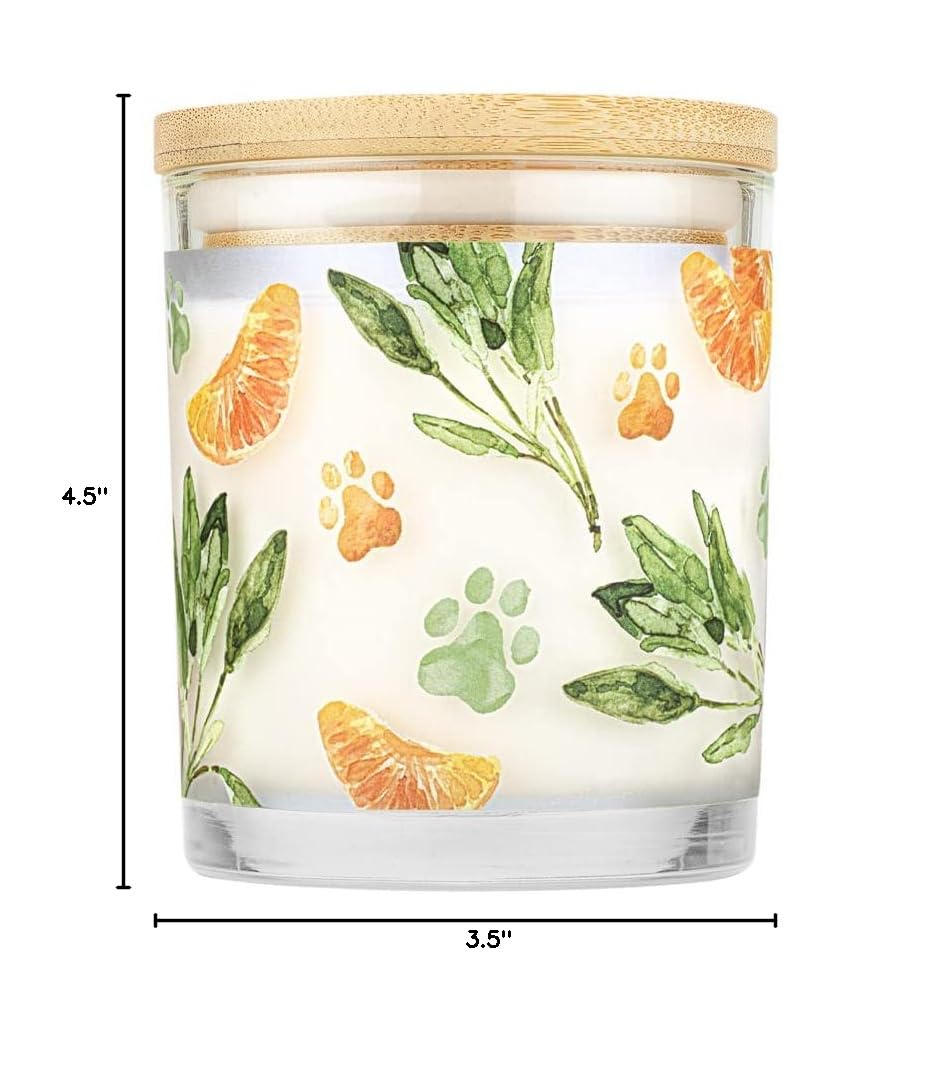 One Fur All Pet House Candle 2 Pack - Natural Soy Wax Candles for Pet Odor Elimination | Mandarin Sage Scented, Clean Burning, Long Lasting Home Fragrance | Perfect for Living Rooms, Bedrooms & Pet-Friendly Spaces