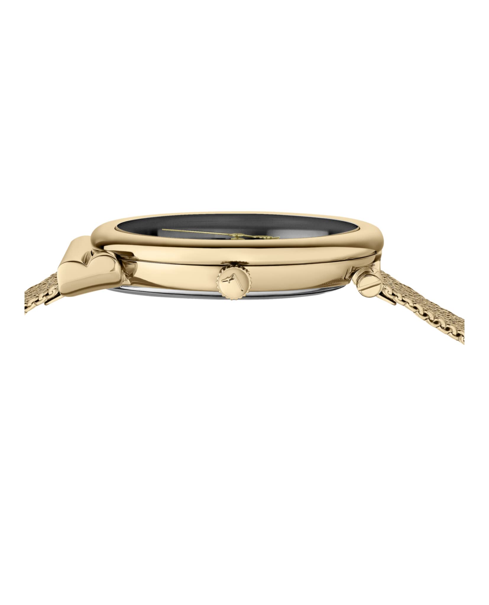 Ferragamo Women's Swiss Made Watch - Gancino Collection Luxury Timepiece for Elegant & Professional Style | Perfect for Office, Parties & Special Occasions